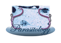 parasitology.gif