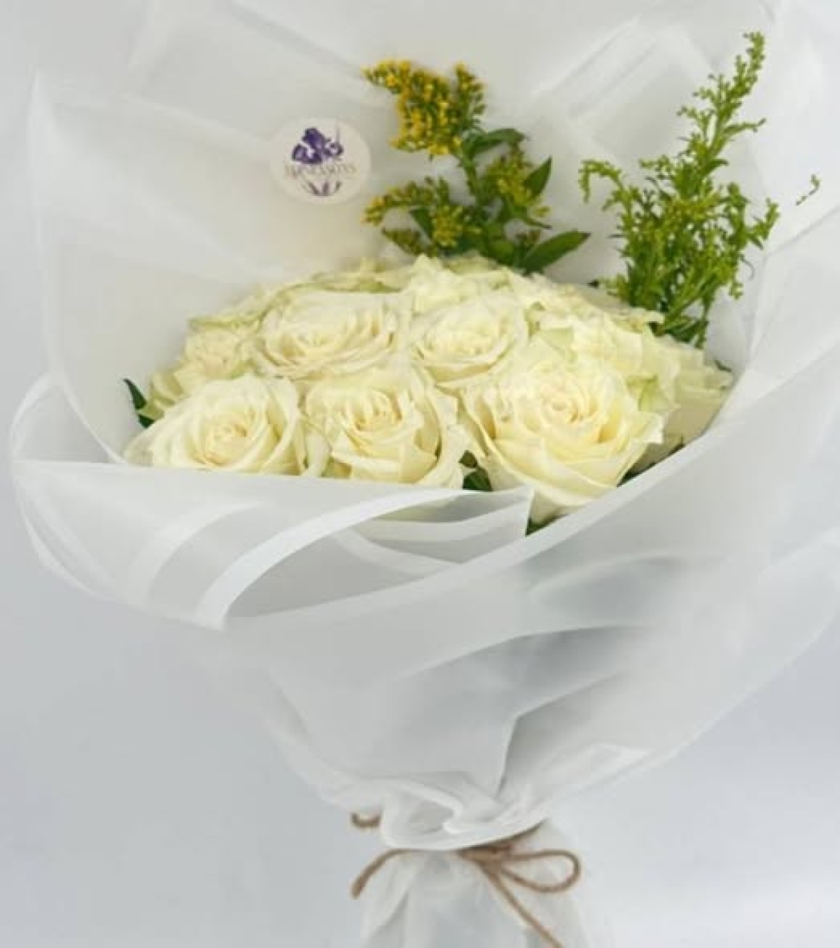 تهنئة معالى العميد   الى ا.د / علا احمد محمد الاستاذ بقسم الفسيولوجيا الطبية بكلية طب بنها بمناسبة صدور قرار تعيين سيادتها رئيسا لمجلس القسم